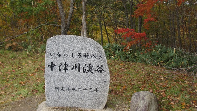 f:id:cafeee:20201124195600j:plain