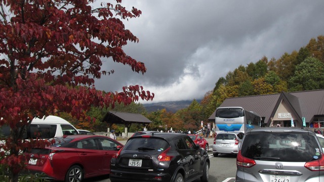 f:id:cafeee:20201124195626j:plain