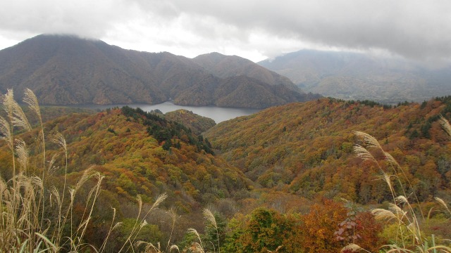f:id:cafeee:20201124195730j:plain