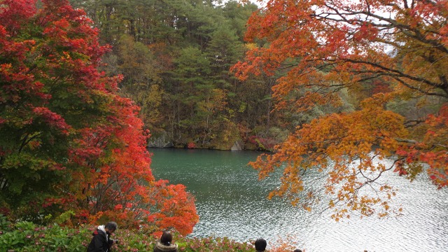 f:id:cafeee:20201125215846j:plain
