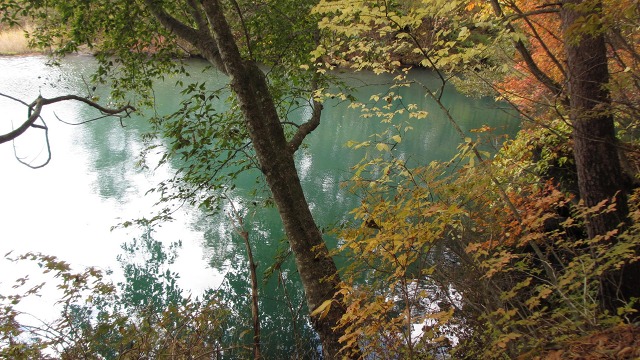 f:id:cafeee:20201125220018j:plain
