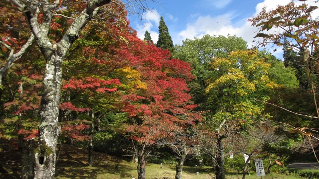 f:id:cafeee:20201126194342j:plain