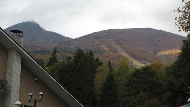 f:id:cafeee:20201126194606j:plain