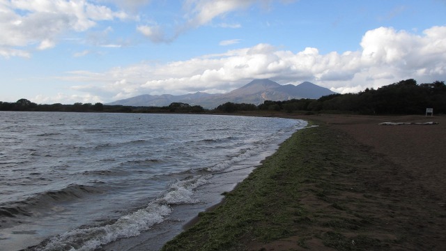 f:id:cafeee:20201126194907j:plain