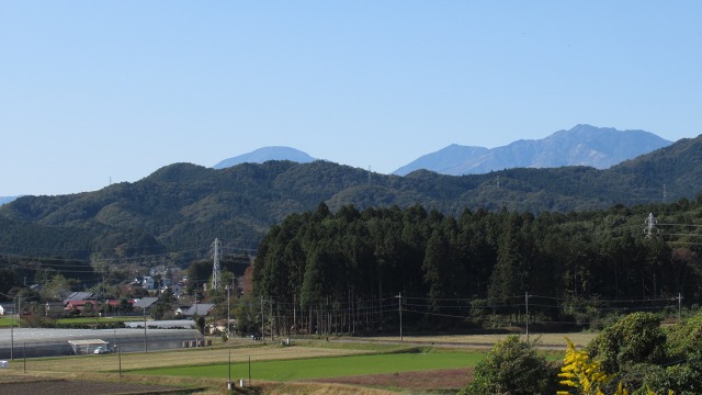 f:id:cafeee:20201128211155j:plain
