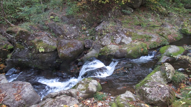 f:id:cafeee:20201128211451j:plain
