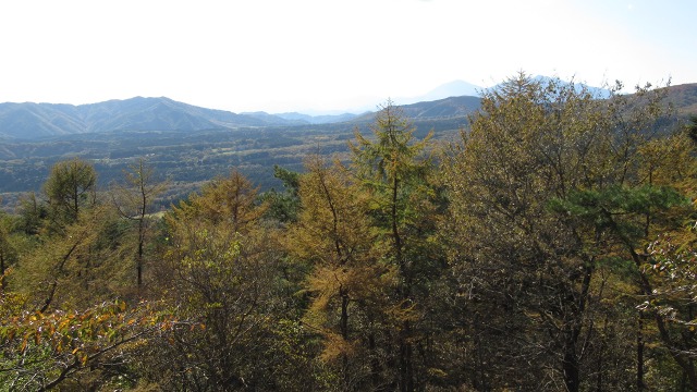 f:id:cafeee:20201128211554j:plain