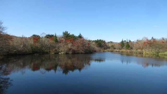 f:id:cafeee:20201128211626j:plain