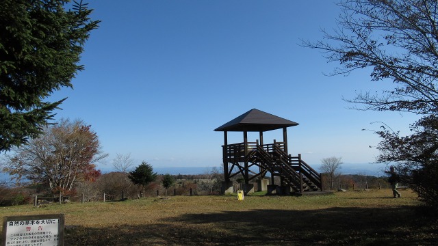 f:id:cafeee:20201128211702j:plain