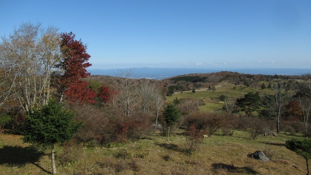 f:id:cafeee:20201128211734j:plain
