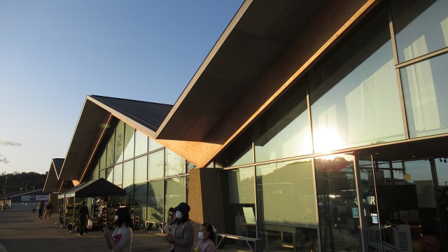 f:id:cafeee:20201128211815j:plain