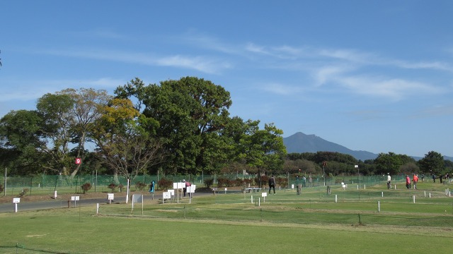 f:id:cafeee:20201129174232j:plain