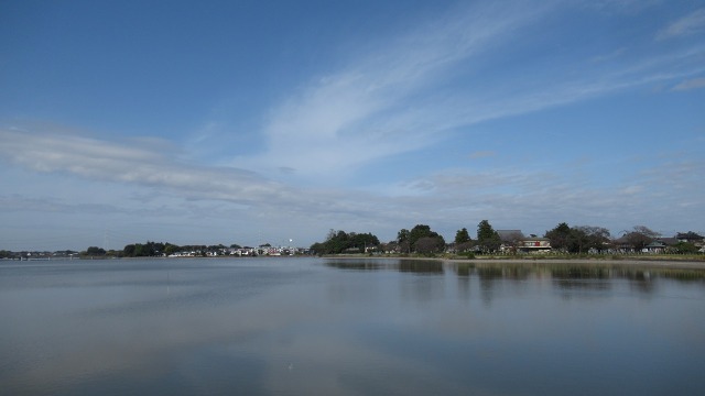 f:id:cafeee:20201129174705j:plain