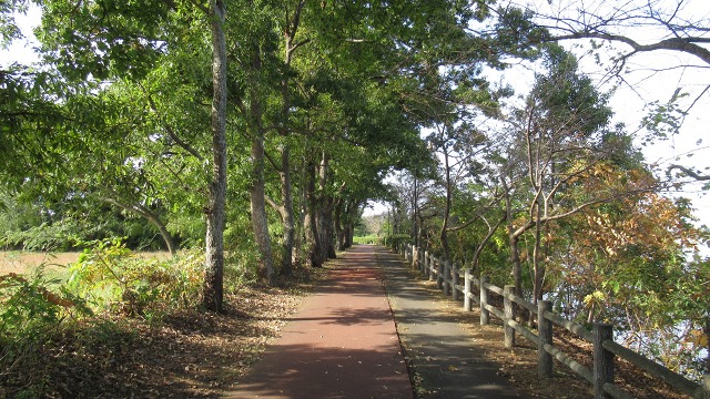 f:id:cafeee:20201129174736j:plain