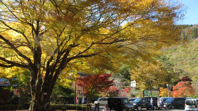 f:id:cafeee:20201202214216j:plain