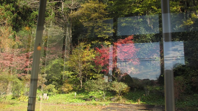 f:id:cafeee:20201203220255j:plain