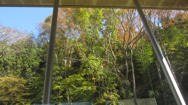 f:id:cafeee:20201203220347j:plain