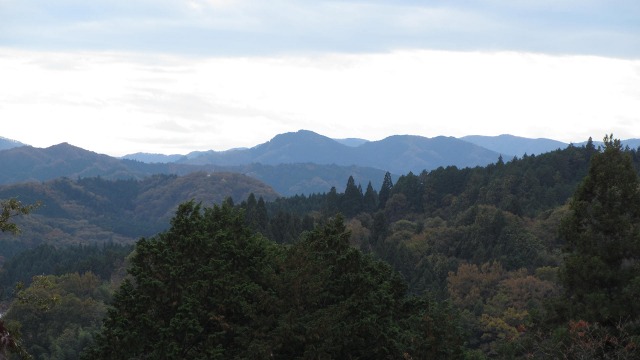 f:id:cafeee:20201208203601j:plain