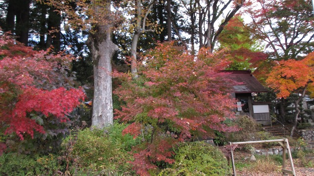 f:id:cafeee:20201208203717j:plain