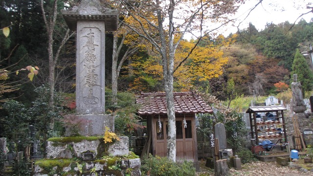 f:id:cafeee:20201208203832j:plain