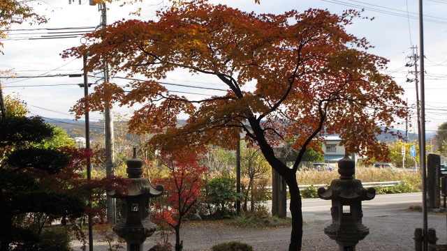 f:id:cafeee:20201208203848j:plain