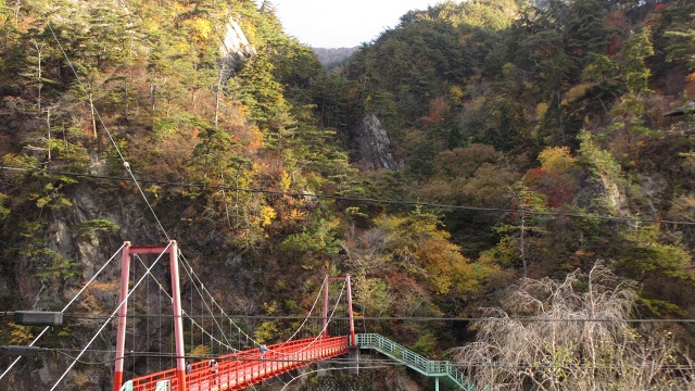 f:id:cafeee:20201208204301j:plain