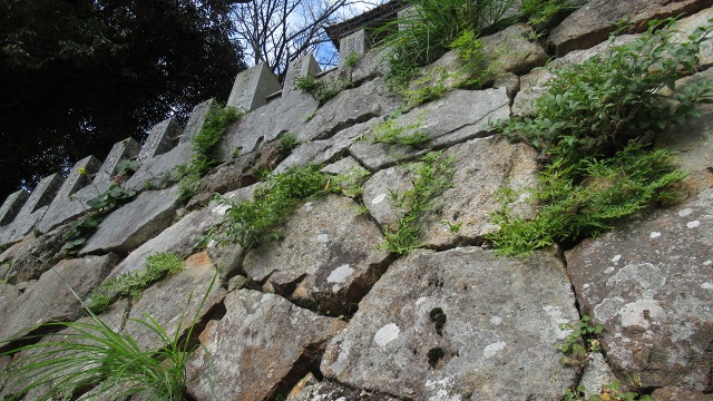 f:id:cafeee:20201209202227j:plain