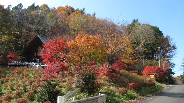 f:id:cafeee:20201231180844j:plain
