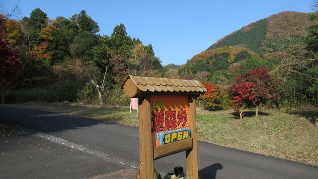 f:id:cafeee:20201231180934j:plain