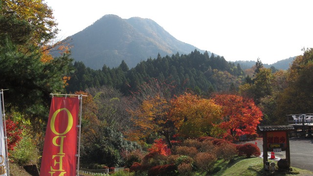f:id:cafeee:20201231181110j:plain
