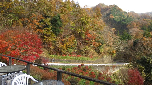 f:id:cafeee:20201231181148j:plain