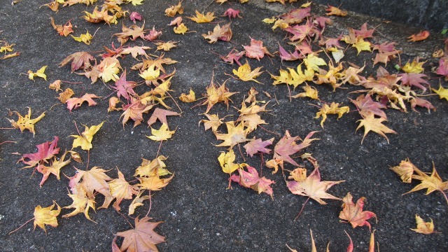 f:id:cafeee:20201231181727j:plain