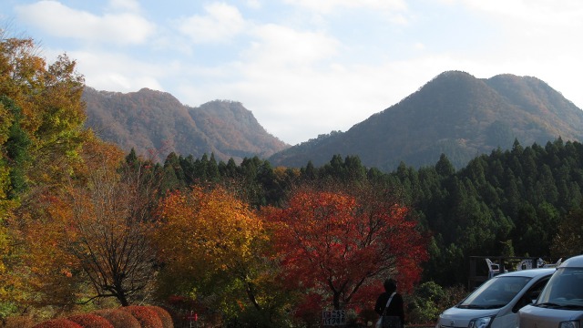 f:id:cafeee:20201231181746j:plain