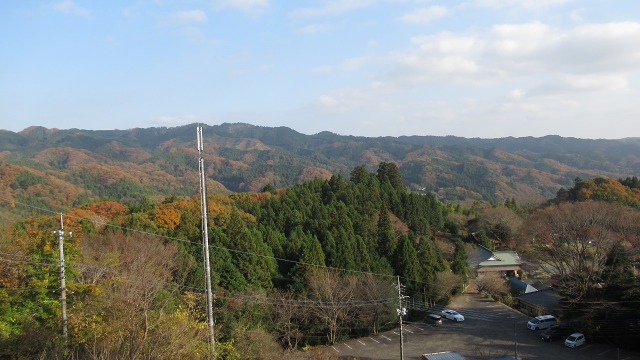 f:id:cafeee:20210102102539j:plain