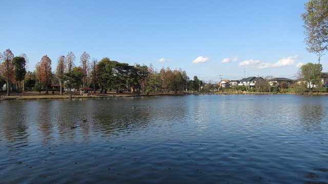 f:id:cafeee:20210110180934j:plain