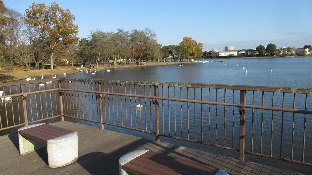 f:id:cafeee:20210110181216j:plain