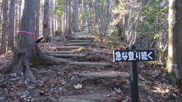f:id:cafeee:20210112101120j:plain