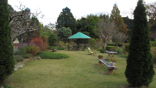 f:id:cafeee:20210118224756j:plain