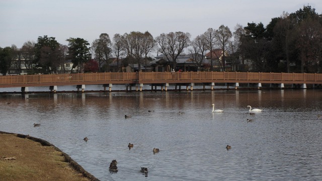f:id:cafeee:20210201223639j:plain