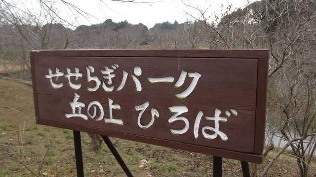 f:id:cafeee:20210222205038j:plain