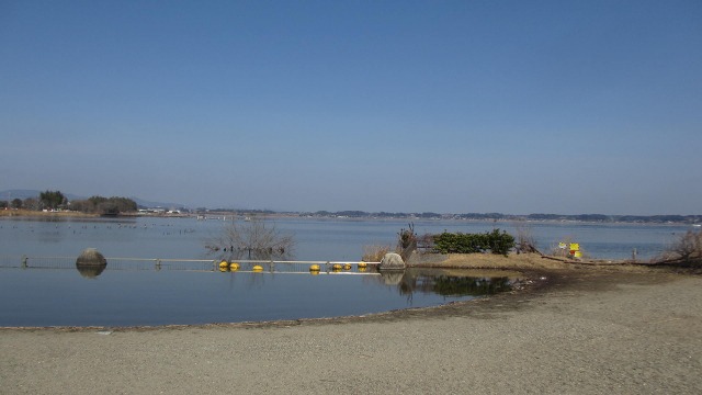 f:id:cafeee:20210412221507j:plain