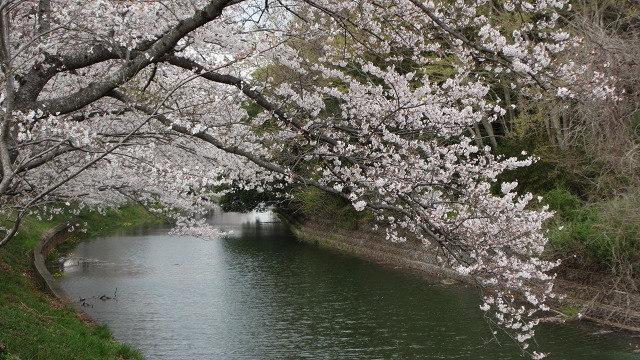 f:id:cafeee:20210508224808j:plain