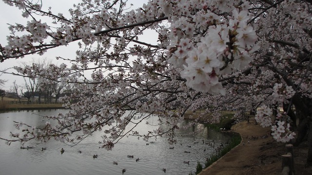 f:id:cafeee:20210508225150j:plain