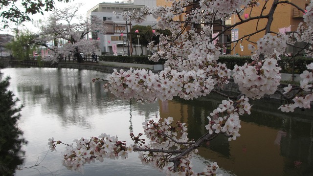 f:id:cafeee:20210510204835j:plain