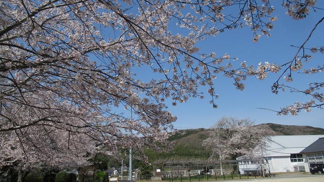 f:id:cafeee:20210512211408j:plain