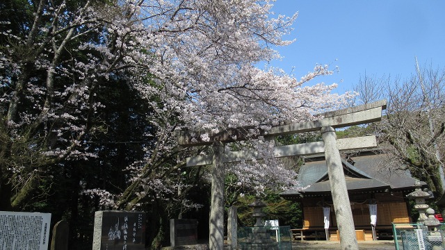 f:id:cafeee:20210512211503j:plain