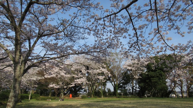 f:id:cafeee:20210512212113j:plain