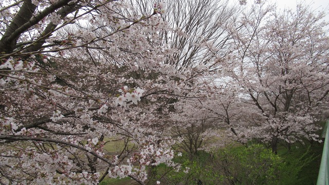 f:id:cafeee:20210512212201j:plain