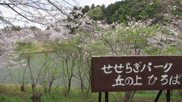 f:id:cafeee:20210515221755j:plain