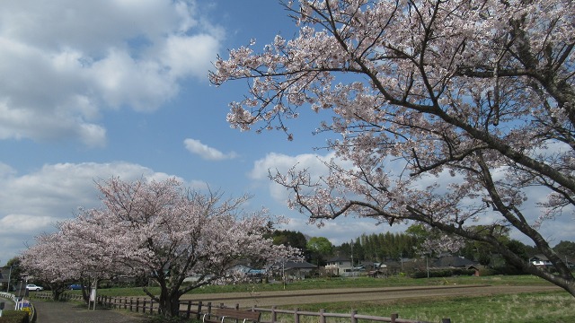 f:id:cafeee:20210519220752j:plain